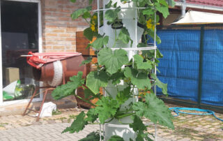 Biovertic vertikálna záhrada